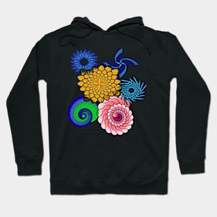 beautiful colorful floral and spiral graphics Hoodie